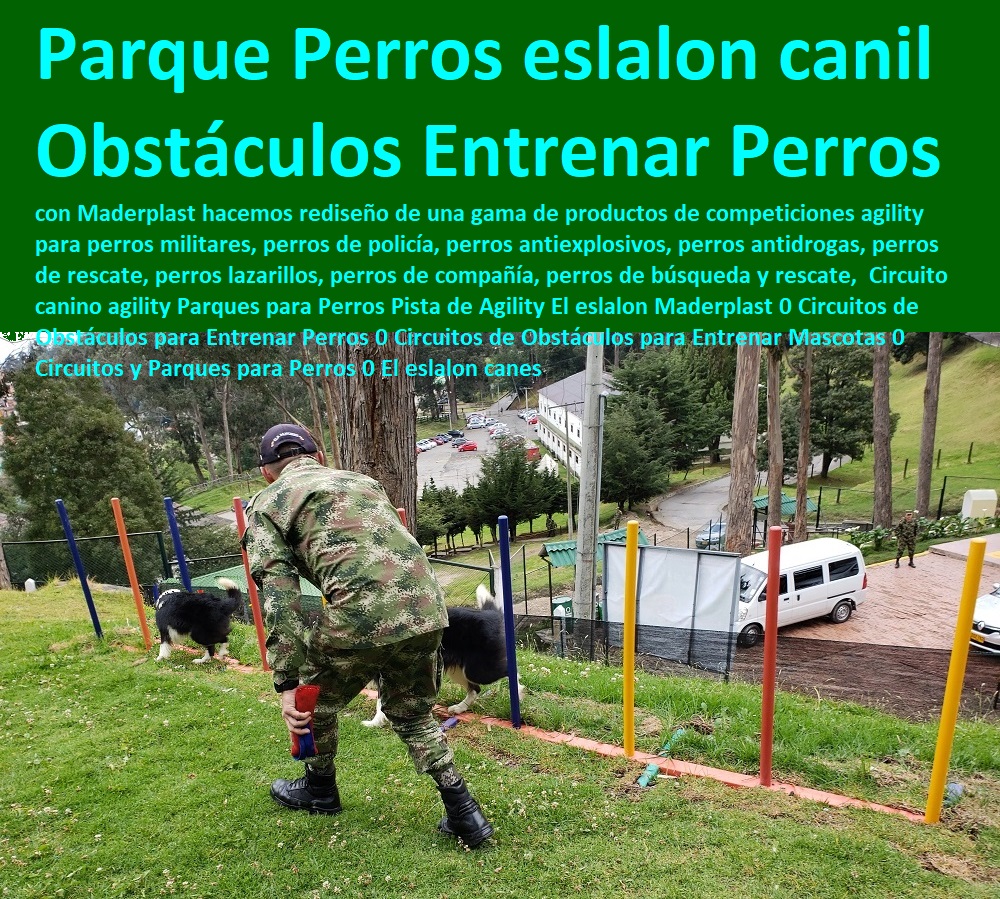 Circuito canino agility Parques para Perros Pista de Agility El eslalon Maderplast 0 Circuitos de Obstáculos para Entrenar Perros 0 Circuitos de Obstáculos para Entrenar Mascotas 0 Circuitos y Parques para Perros 0 El eslalon canes Circuito canino agility Parques para Perros Pista de Agility El eslalon Maderplast 0 Circuitos de Obstáculos para Entrenar Perros 0 Casas Para Perros Y Mascotas, Agility De Perros, Pistas De Adiestramiento, Caninos Para Perros, Equipo De Agility Para Perros, Cunas Y Parideras Para Perros, Parques Para Perros, Corrales Para Perros, Jaulas cuidado de perros, Circuitos de Obstáculos para Entrenar Mascotas 0 Circuitos y Parques para Perros 0 El eslalon canes